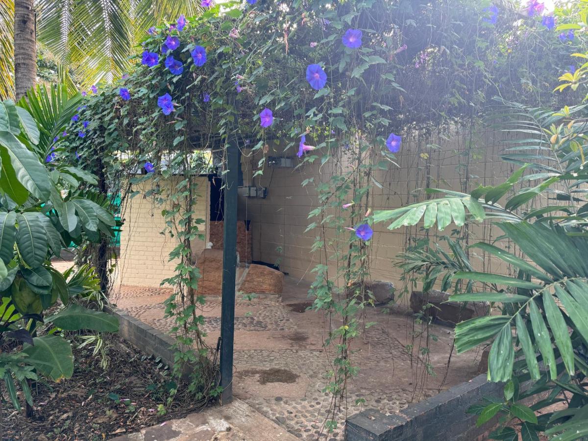 Chikoo Farm Inn Bangalore Extérieur photo